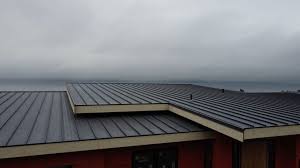 Fast & Reliable Emergency Roof Repairs in Naples, UT